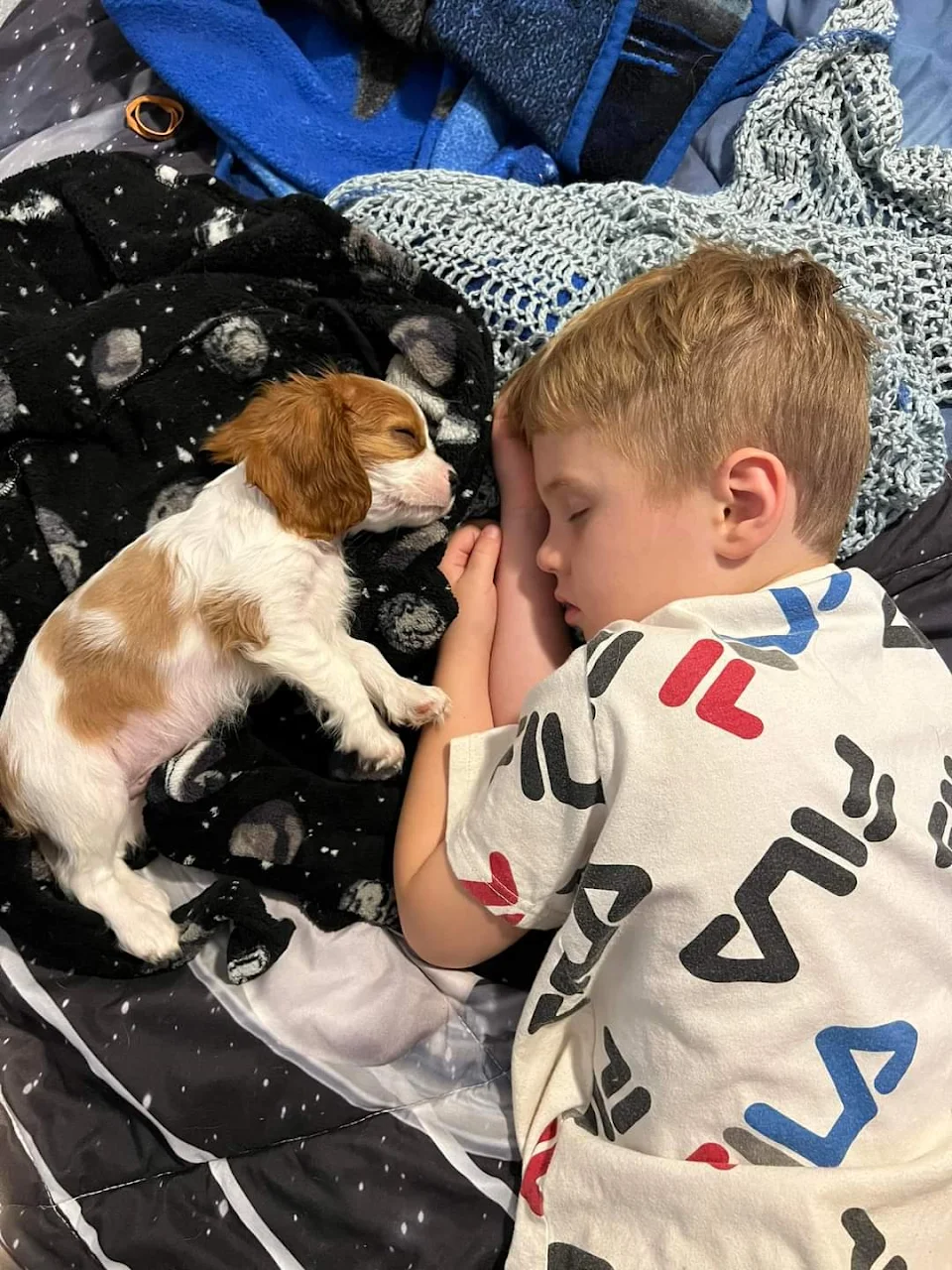 Sweetness, a boy and his new puppy