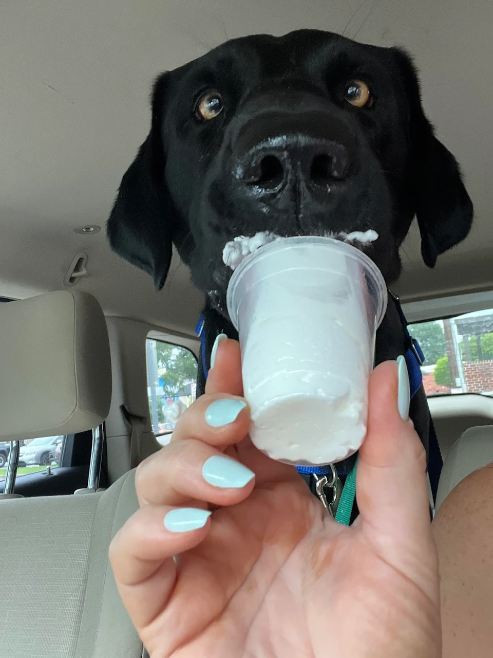 When the pup cup is so good you go cross eyed