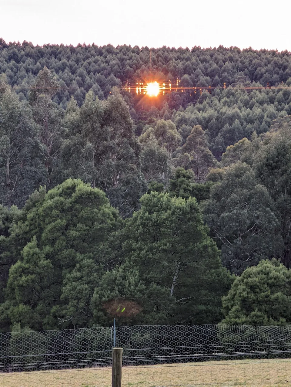 Sunrise this morning looked a bit creepy. Tasmania, Australia.