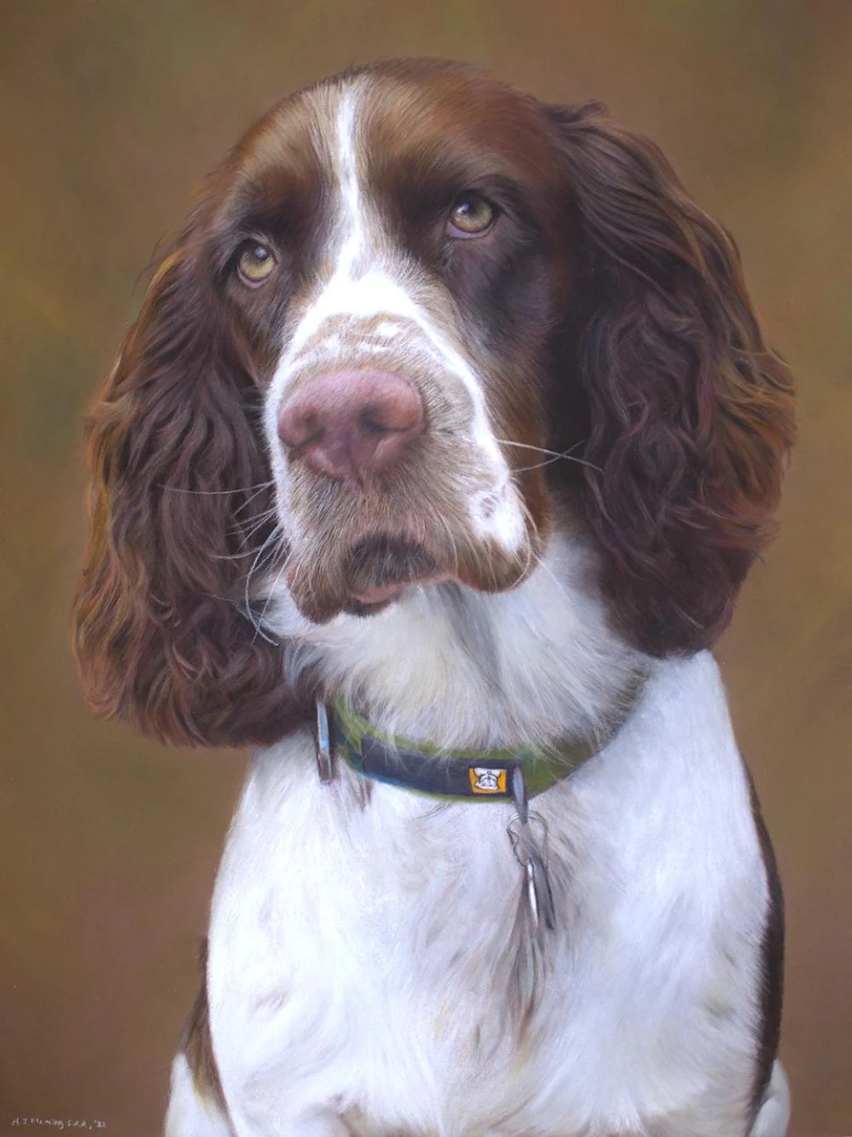 Hi folks, here's a pastel drawing of an adorable springer. Hope you like it!