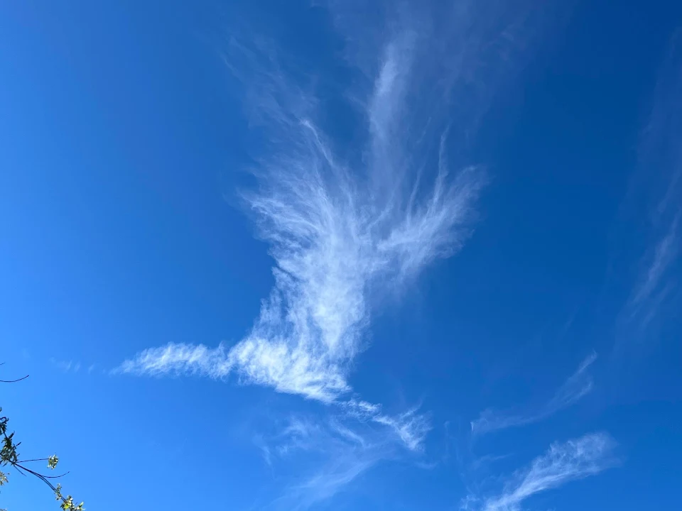 Hummingbird cloud. Beautiful day in BC Canada