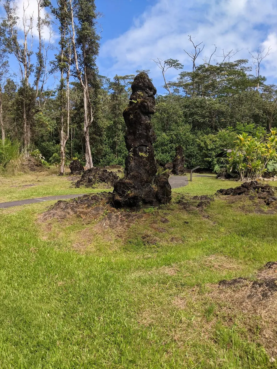 This lava rock in Hawaii formed when a lava flow hit a tree and then receded.