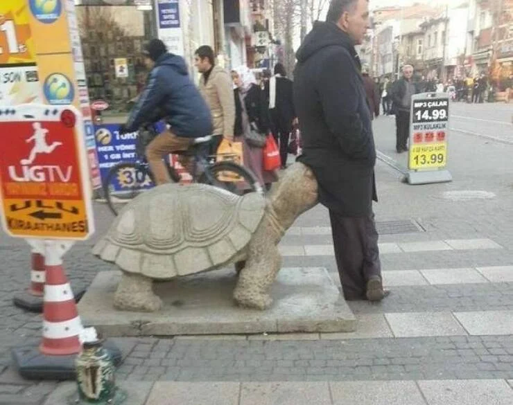 tortoise statue