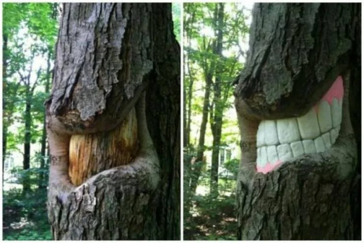Funny tree