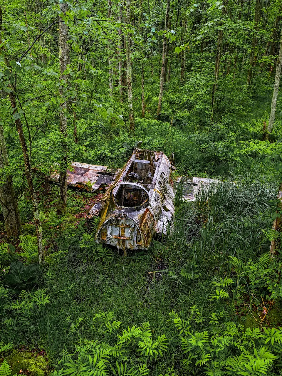 Plane wreck in New Jersey woods [OC]