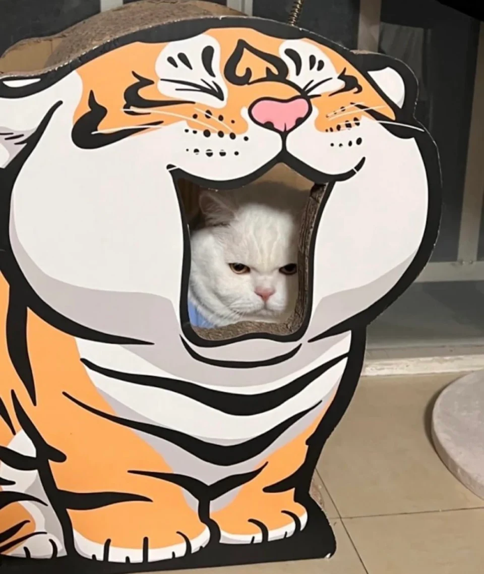 Inside every tiger there's a cat.