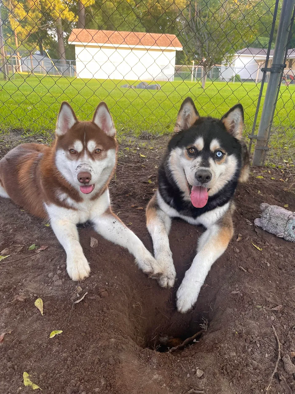 Digging?… no.. we would never..