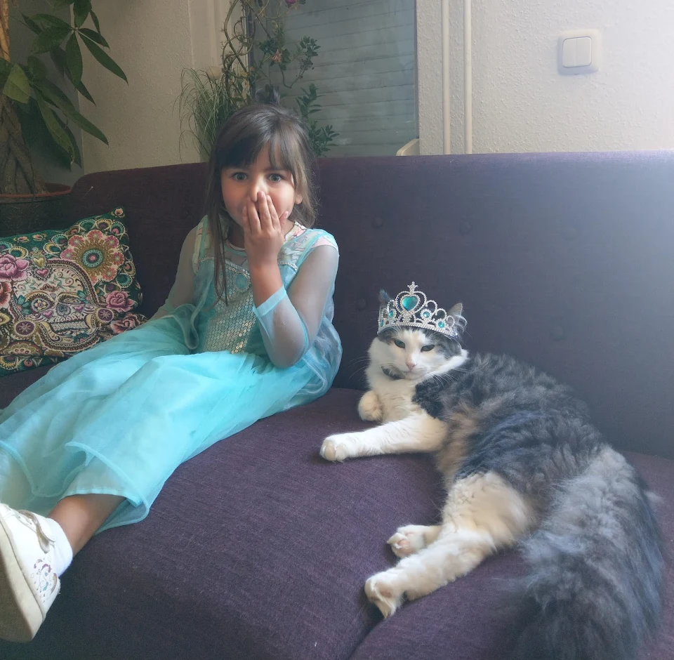 My two princesses. The cat doesn't mind as long as he gets the attention