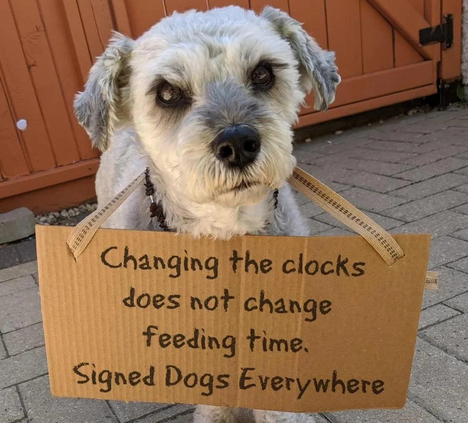 Changing the clock does not change feeding time! - Love, dog and his friends