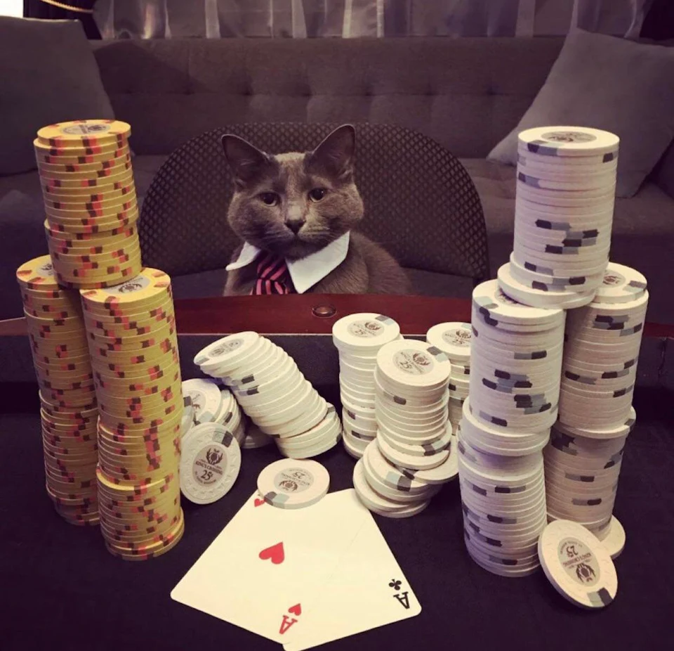 Hell Of A Poker Face