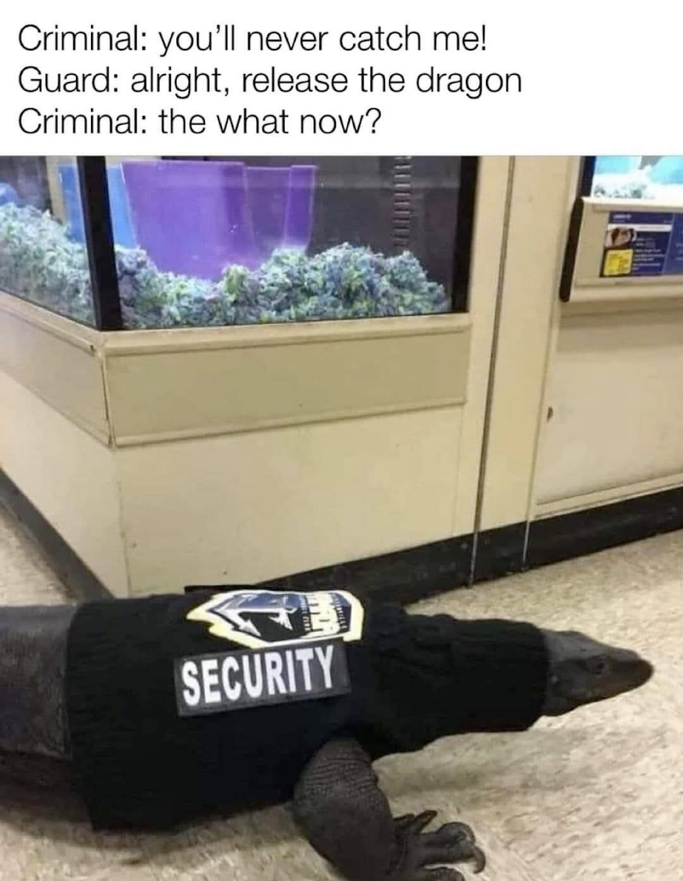 Top notch security