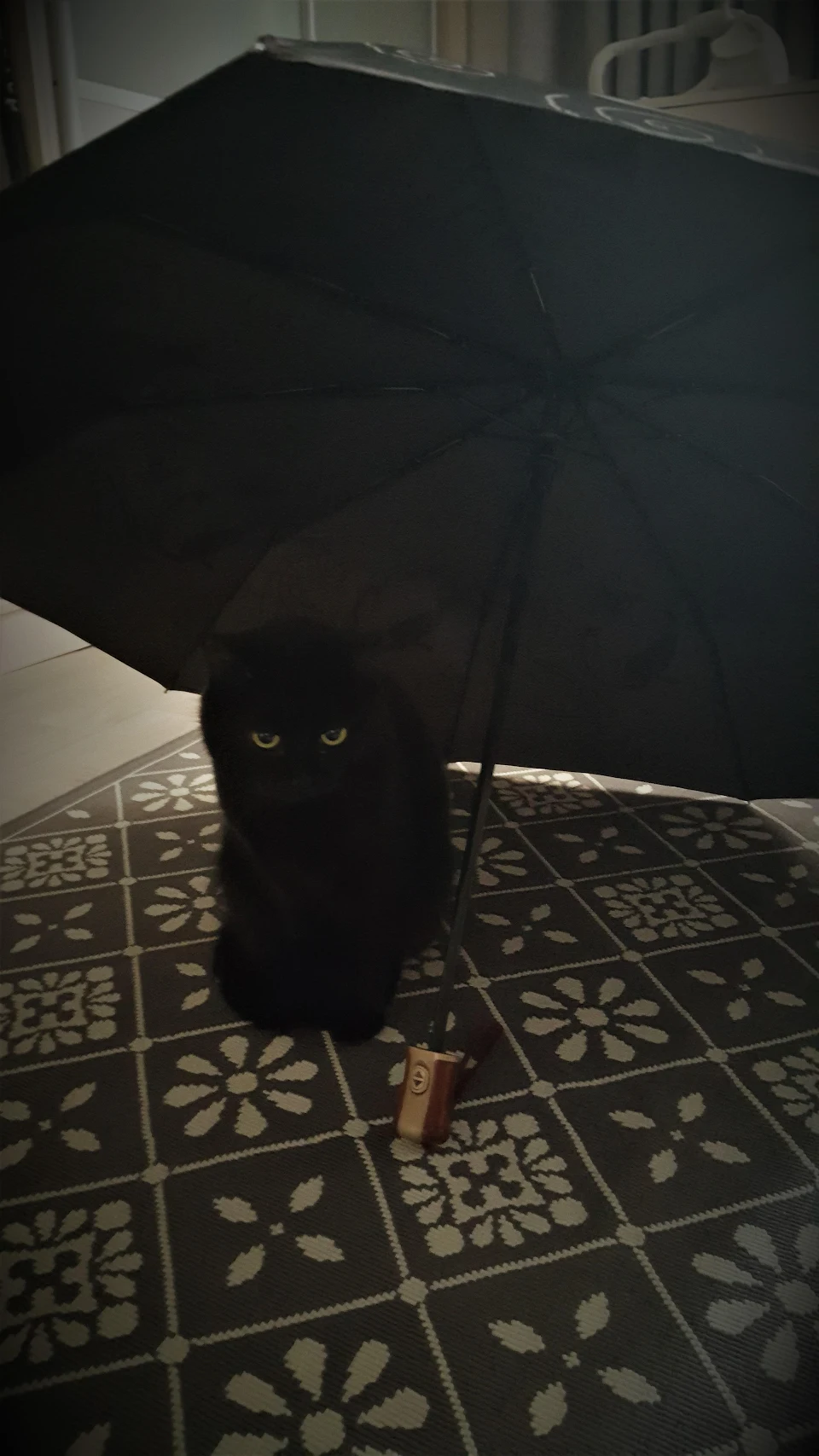 How cozy under the umbrella!