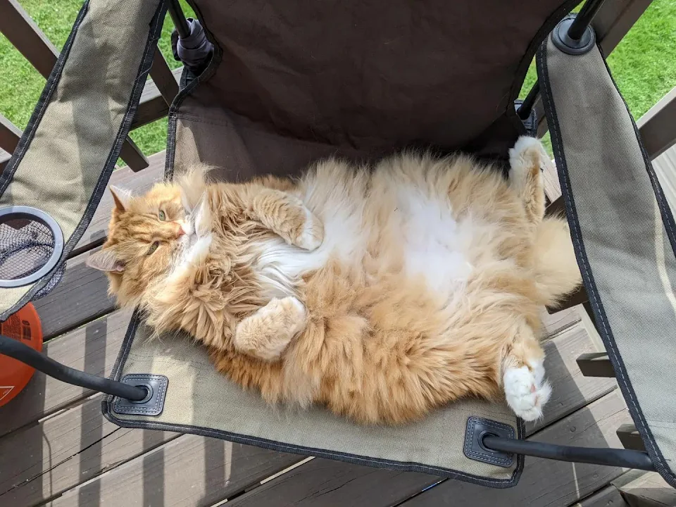 Bill enjoying his patio time.