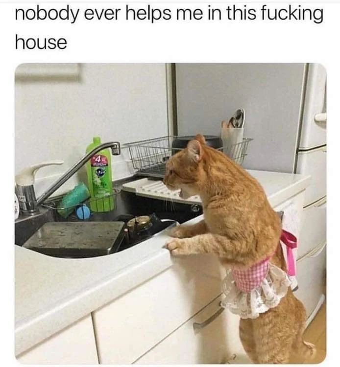 cat nobody ever helps me in this house