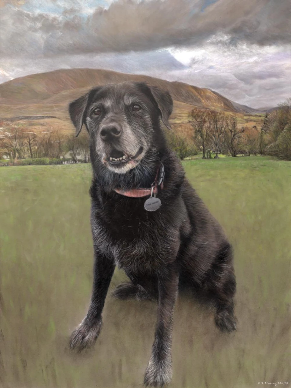 Here's a pastel drawing of Sally, the labrador. Hope you like it!