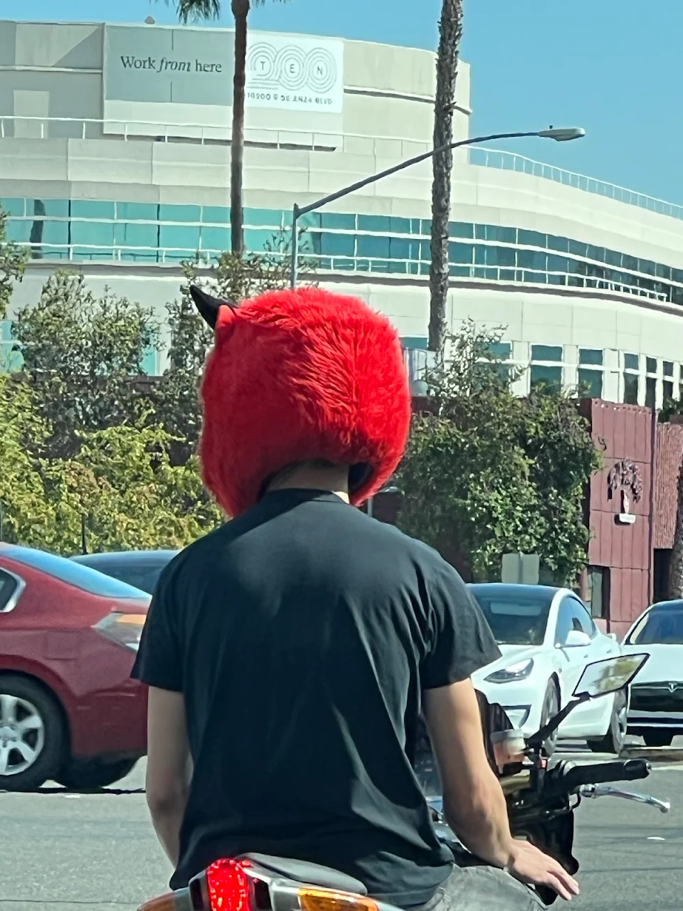 Saw this cool and adorable helmet today