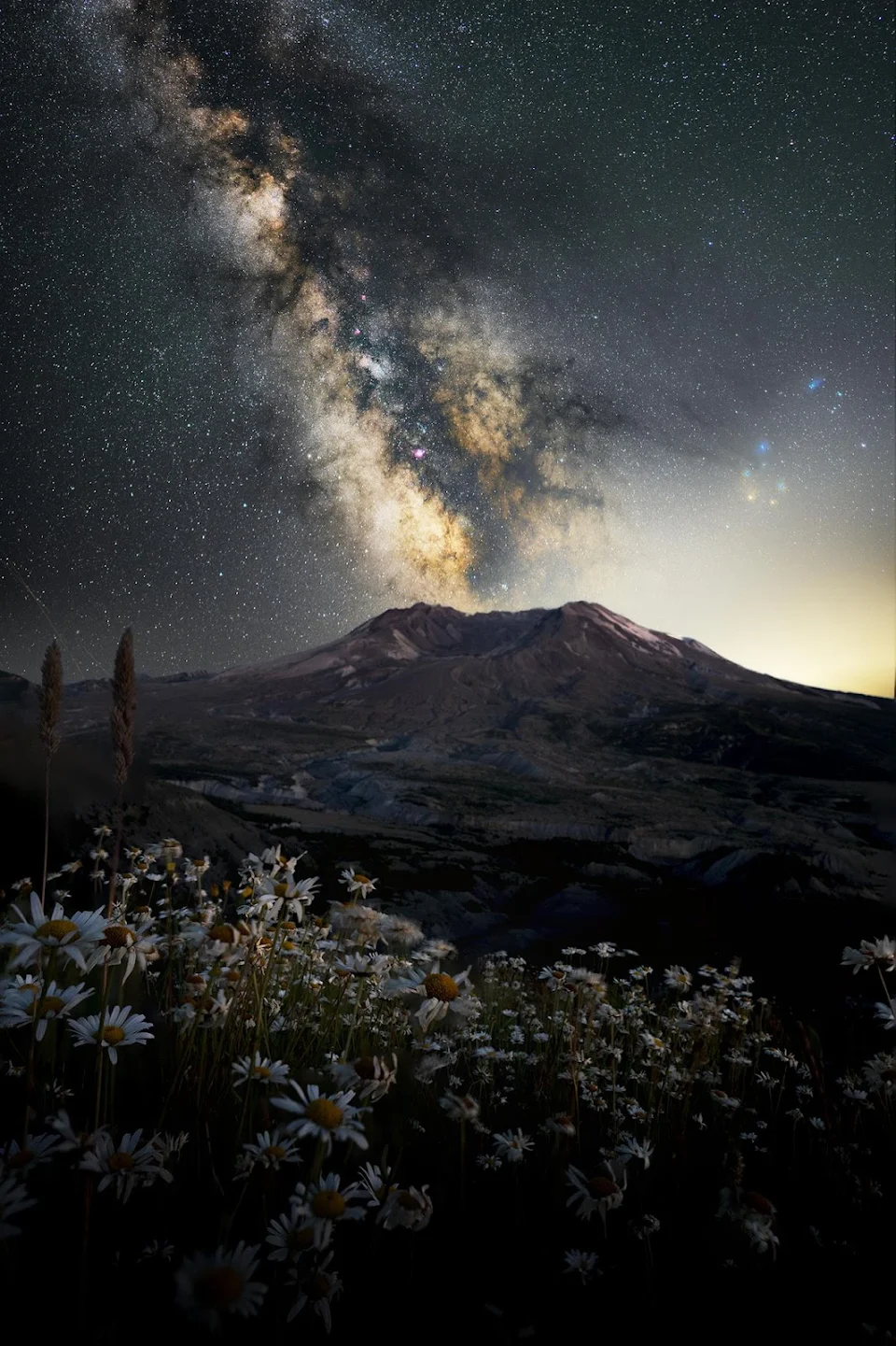 Wildflowers, a volcano, and the Milky Way.