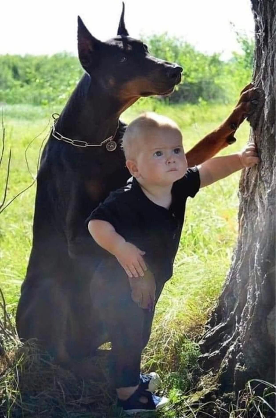 Dog and Boy Standing by the Tree