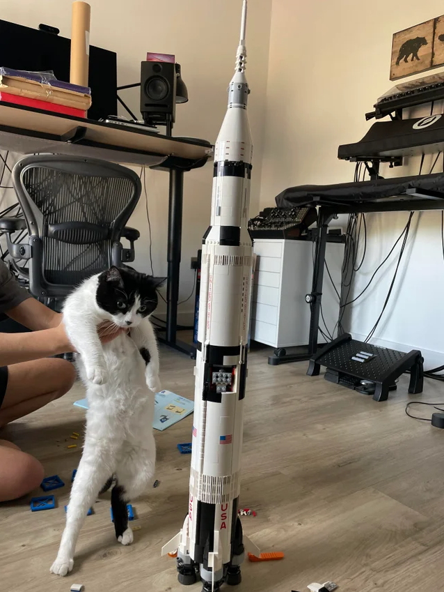 Cat and a Lego Saturn V rocket.