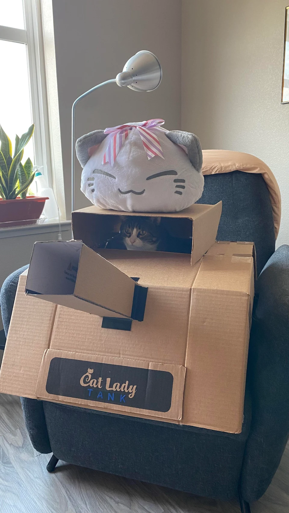 Made a tank for my cat