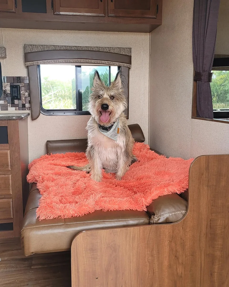 Took her camping in my new camper for the first time - this is her bed
