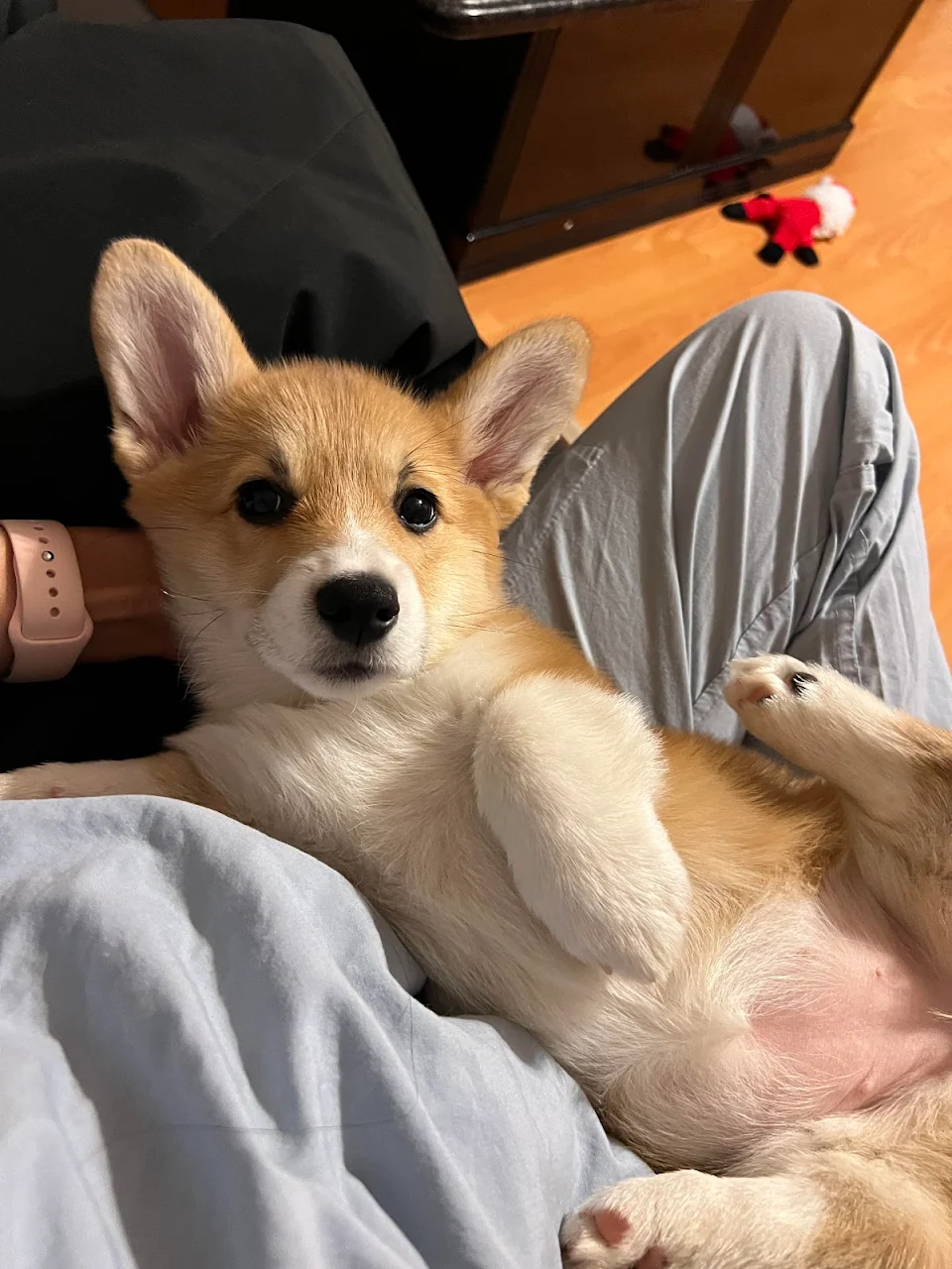 Draw me like one of your French girls