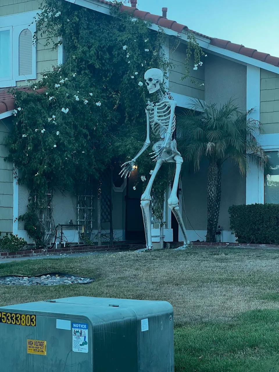 My friends neighbor keeps this up all year.