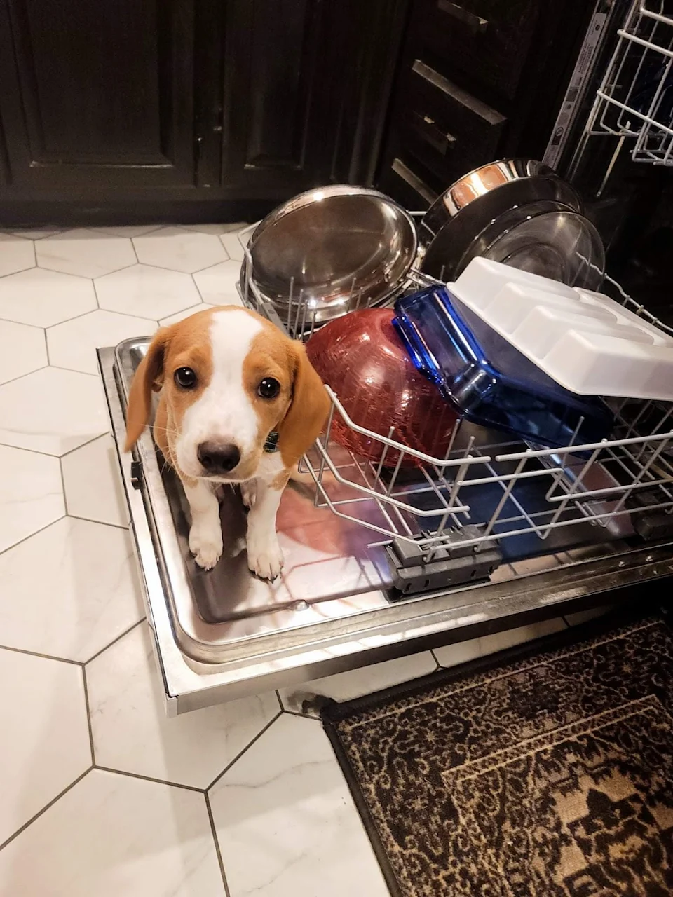 Marlee would love to help with dishes.