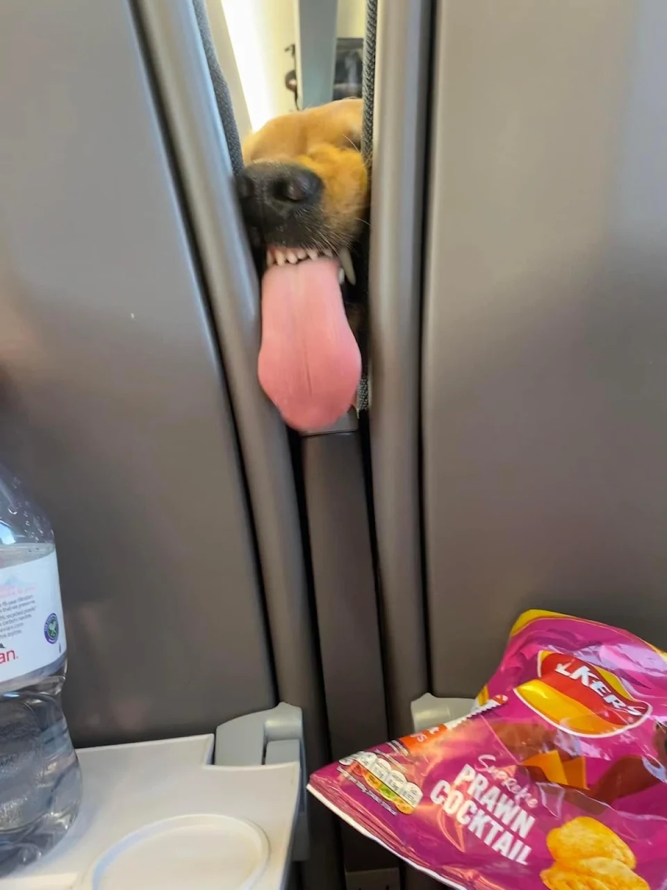 Hi, you got any snacks?