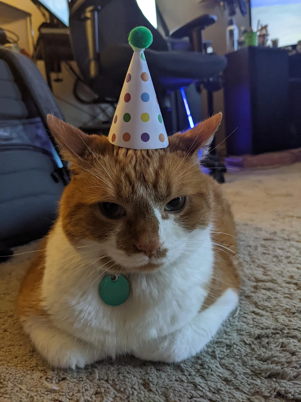 It's his 10th birthday!