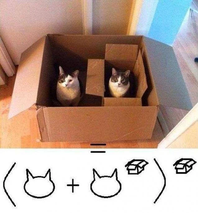Cat math