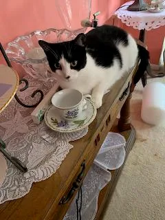 Tea, please