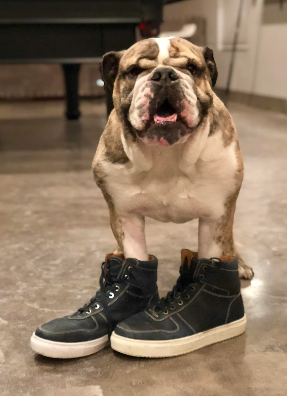 Just a bully wearing my boyfriend’s shoes