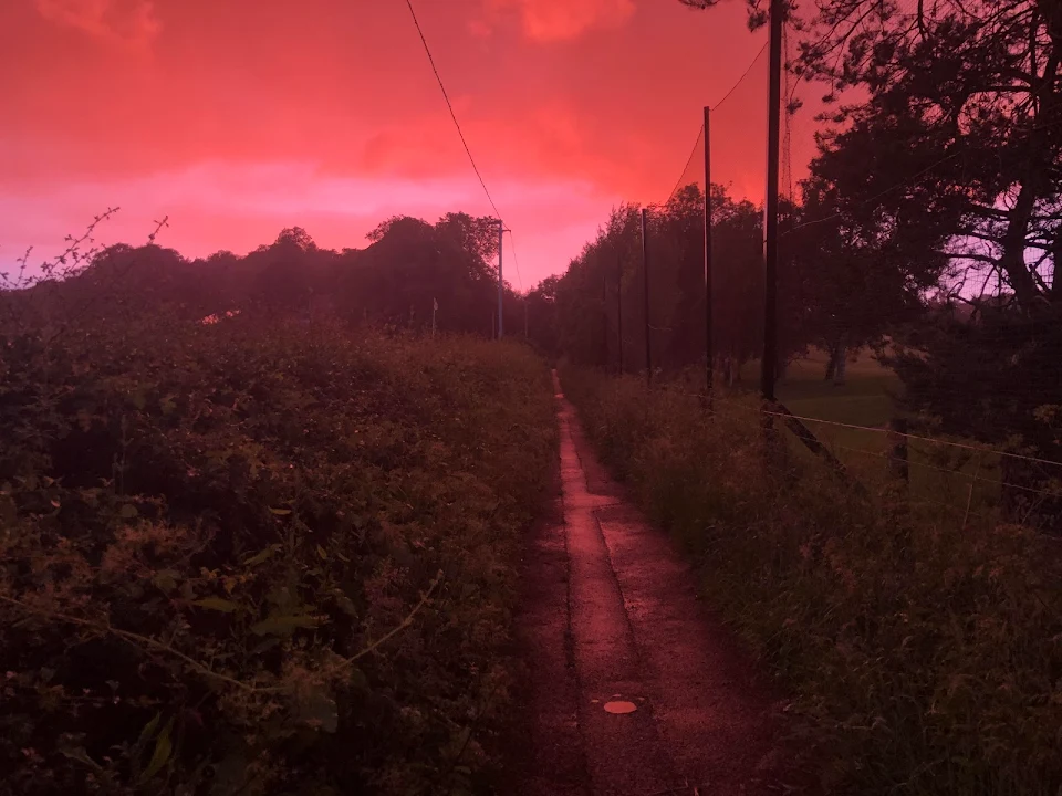 I was walking the dog and I think the apocalypse started