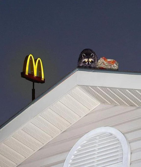 lord of the golden arches