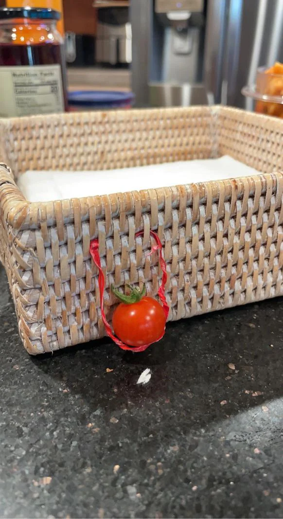 Tomato on a swing
