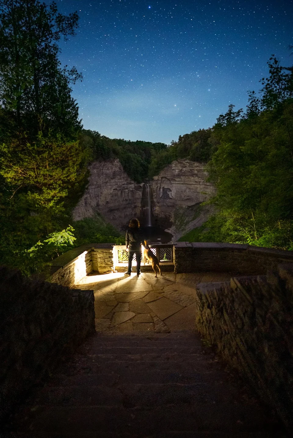 Under the stars with my boxer, Kona. Overlooking Taughannock Falls in NY