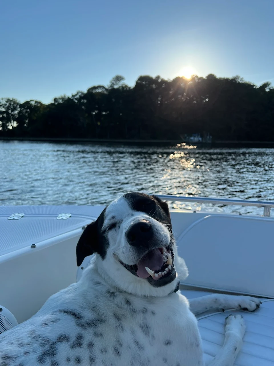 Boat dogger