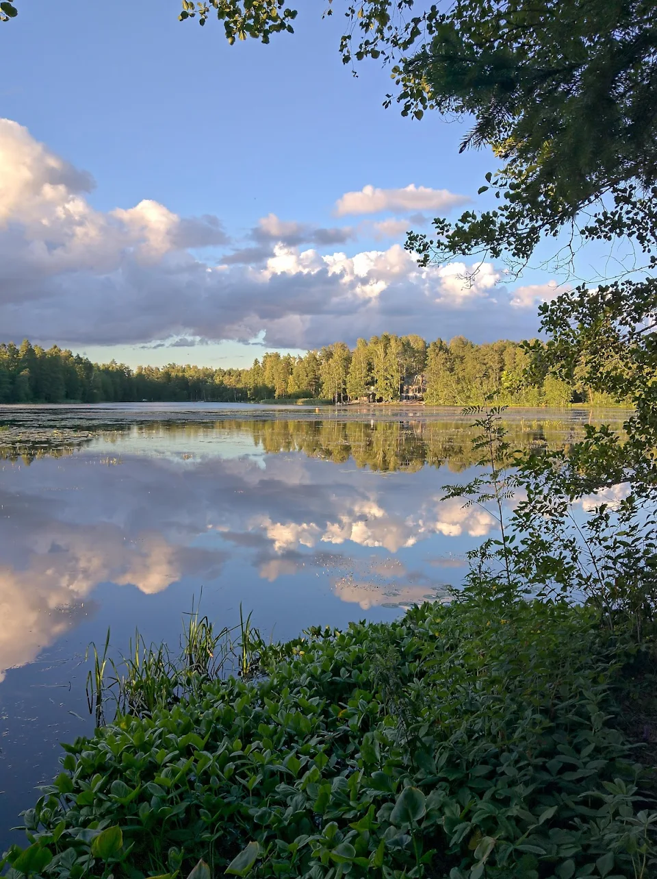 August Evening in Kauniainen, Finland
