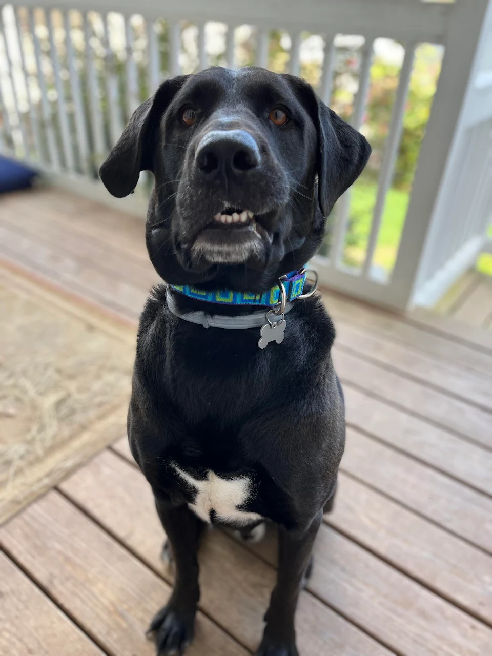 Porter showing off his smile