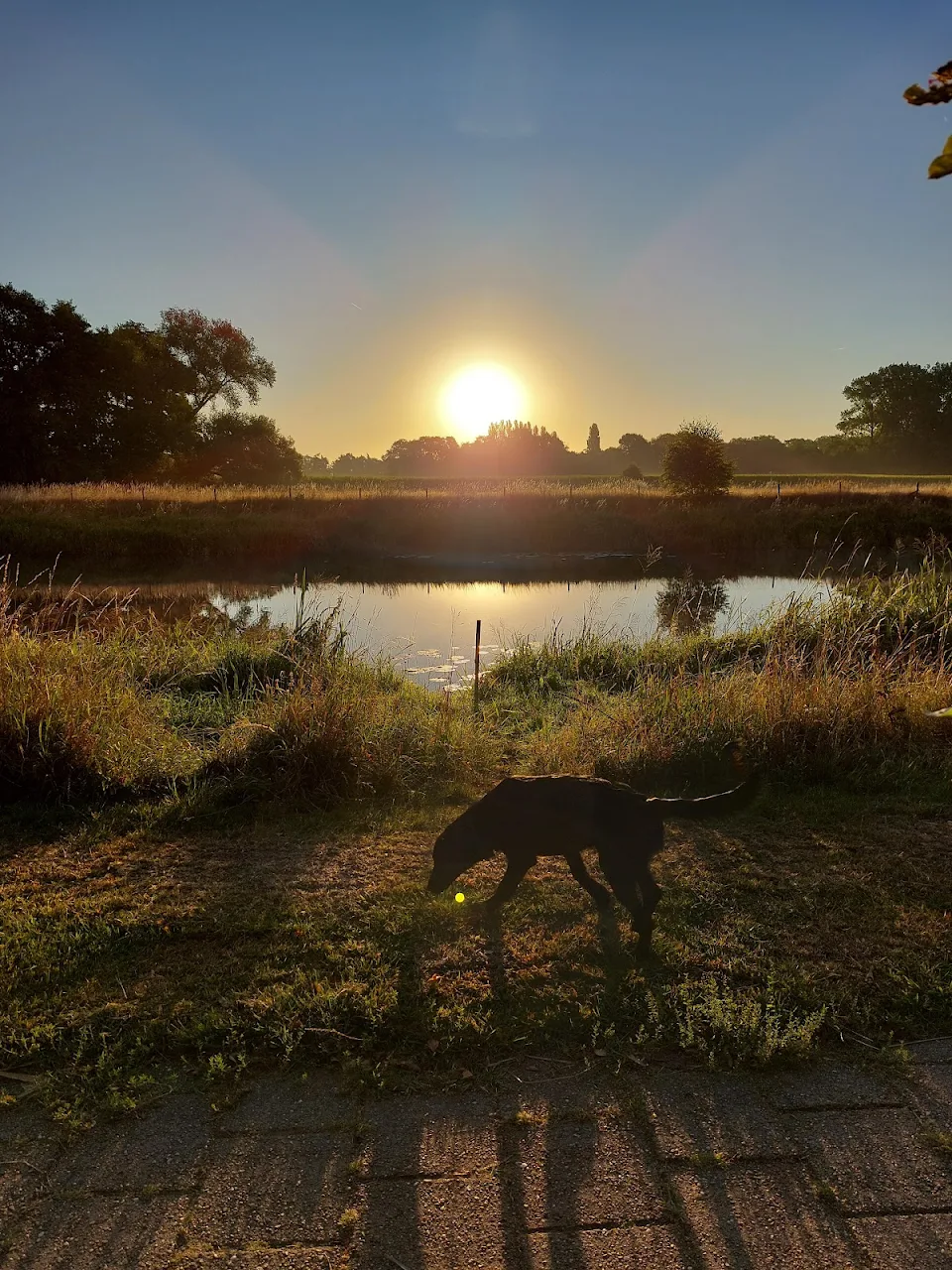 A sunrise with my dog in the Netherlands.
