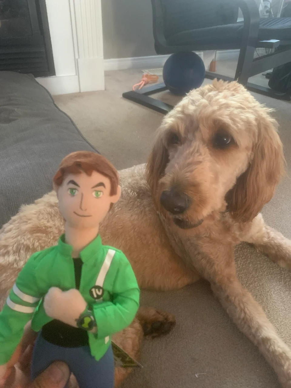 my dog and Ben10
