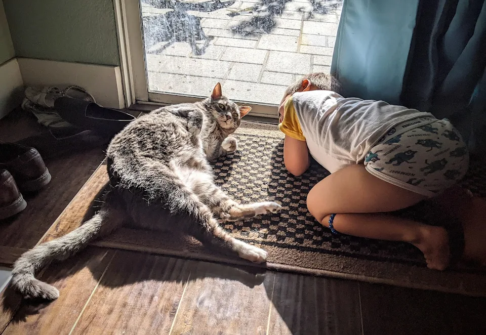 the cat and the child