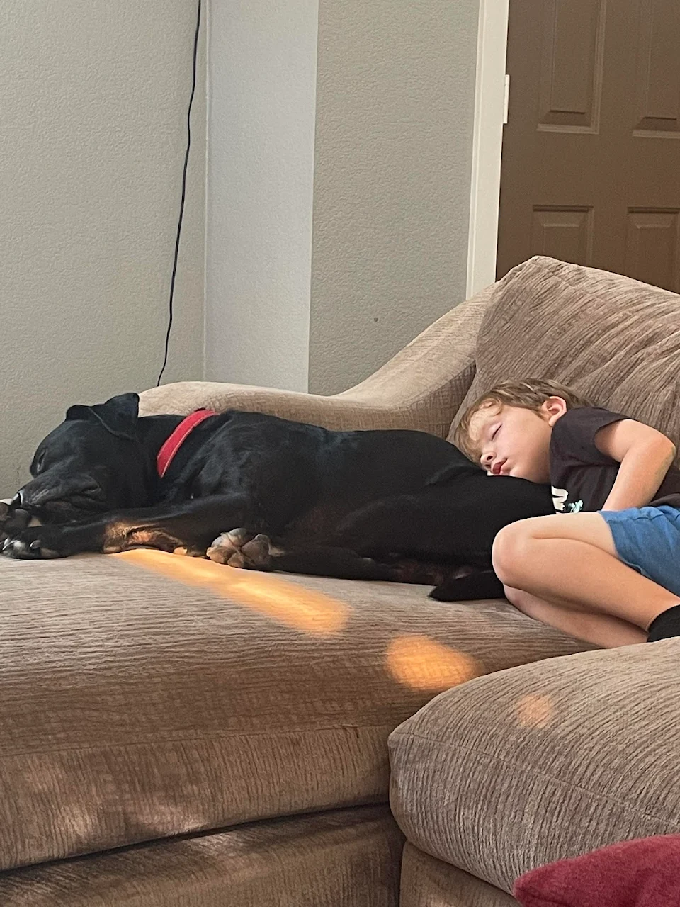 Two of the three kids in my life napping