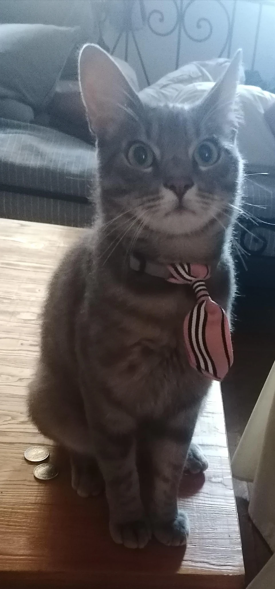 That tie was my best purchase ever
