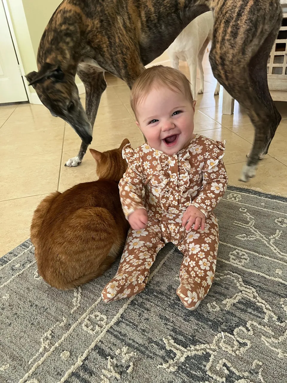 Safe To Say My Daughter Loves Having All The Animals!