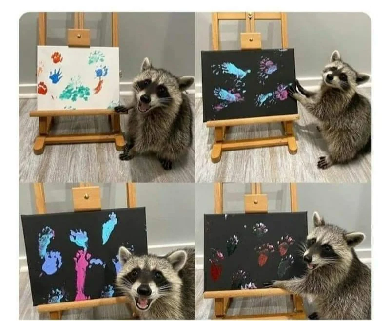 Somebody taught this racoon how to finger paint and it's the cutest damn thing I've seen in a LONG time!