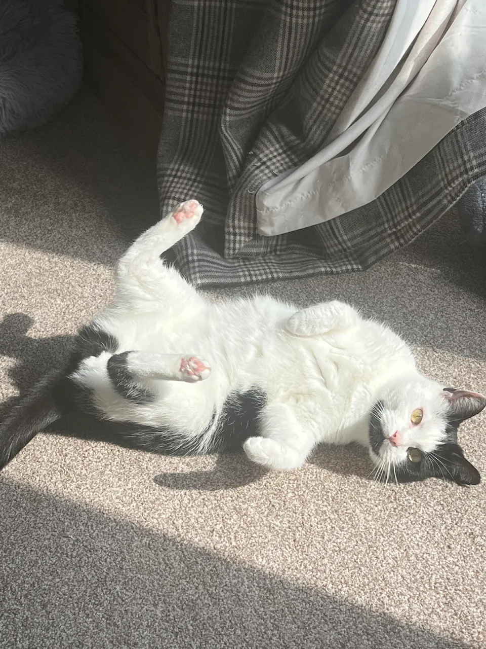 Sun’s out, tums out