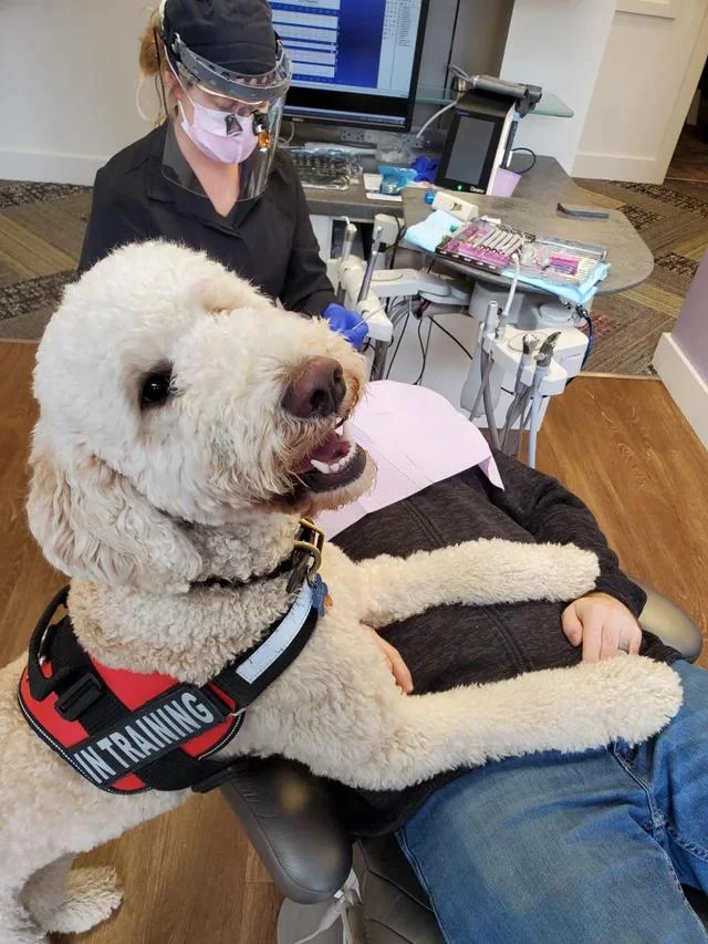 My dentist has a therapy dog and it's Awesome!