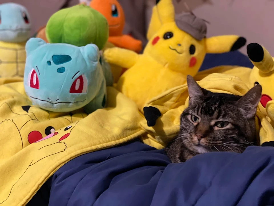One of these Pokémon is not like the others